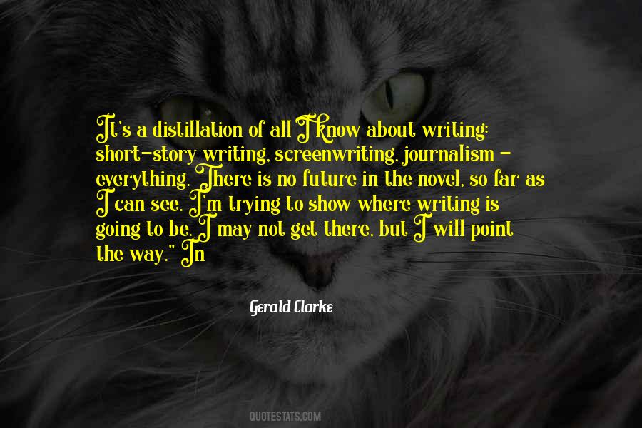 Quotes About Story Writing #833675