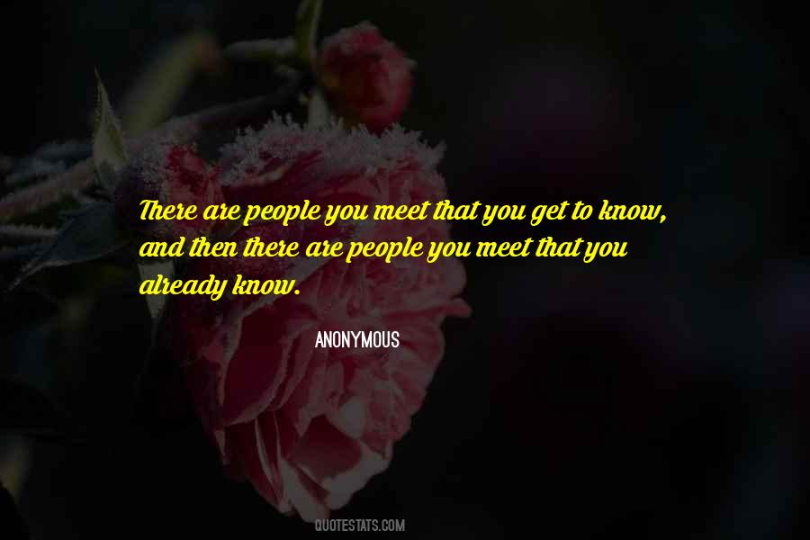 People You Meet Quotes #1325366
