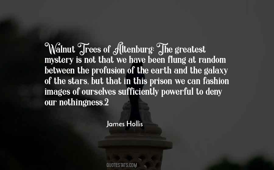 Not Random Quotes #601529