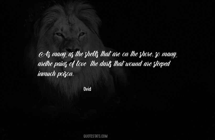 Quotes About Wound Of Love #1026350