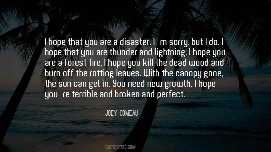 Quotes About Thunder And Lightning #1021145