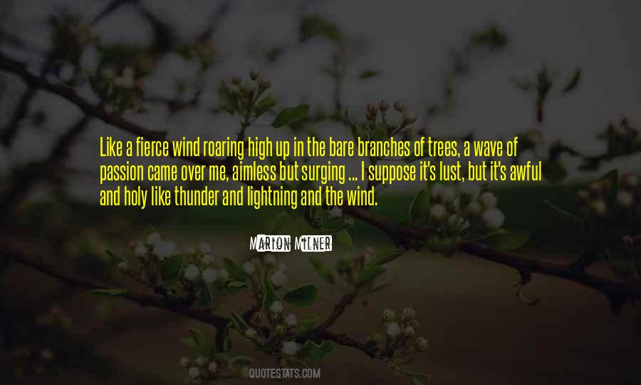 Quotes About Thunder And Lightning #635176