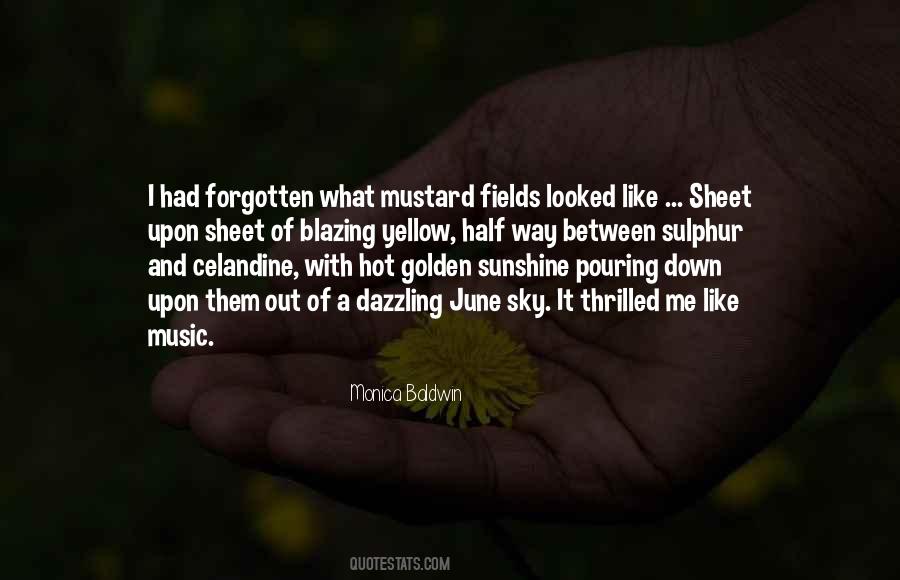 Color Sky Quotes #593923