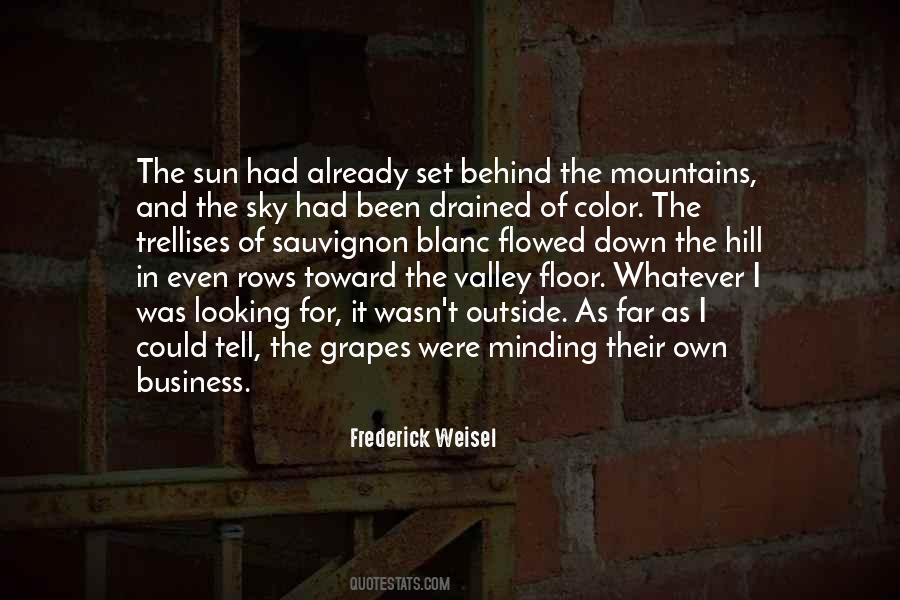 Color Sky Quotes #863597