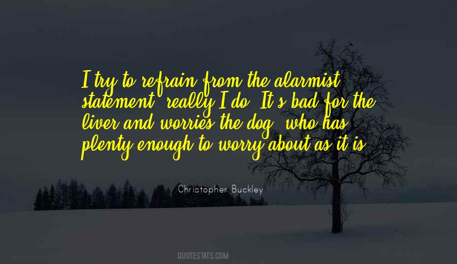 Quotes About Worries #171855