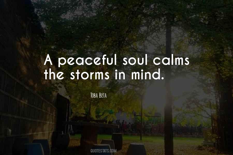 Calming The Storm In Mind Quotes #1062013