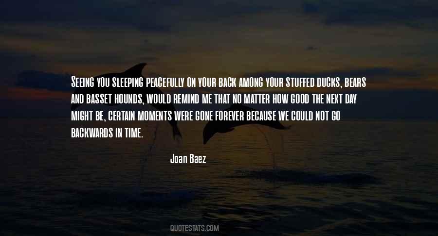 Quotes About Sleeping Bears #1385252