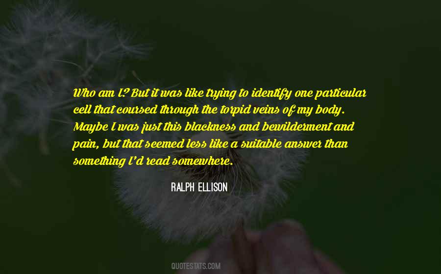 Quotes About Bewilderment #416152