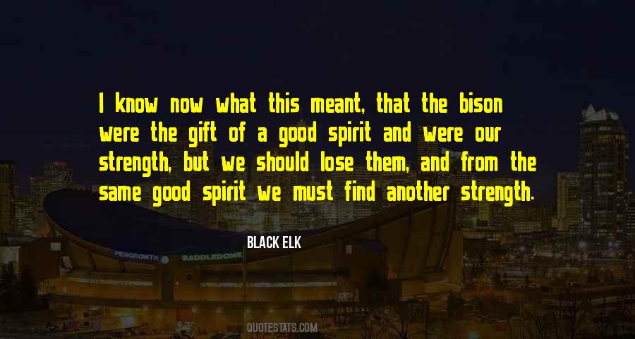 Quotes About Spirit Strength #570693