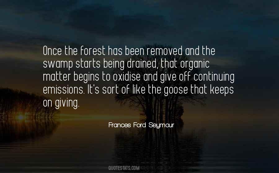 Quotes About Swamps #1618399