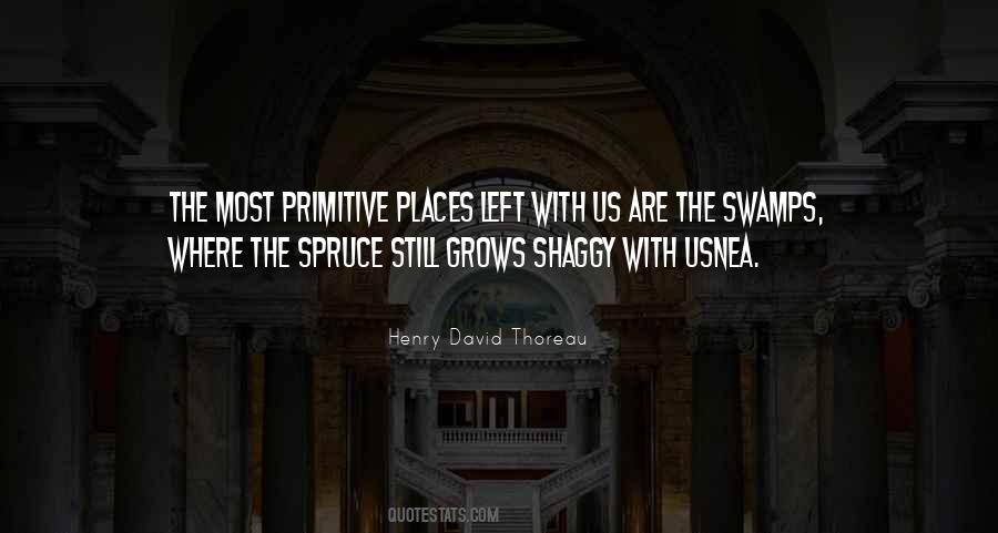 Quotes About Swamps #1823643