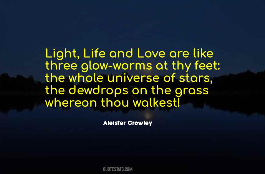 Quotes About Glow Worms #448713