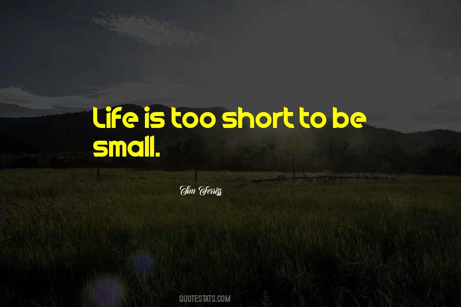 Life Is Too Short To Be Quotes #953465