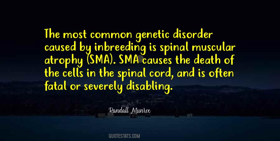 Quotes About Spinal Cord #179025