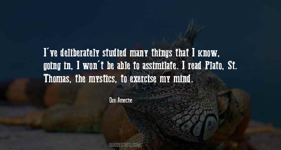 Things In My Mind Quotes #594197