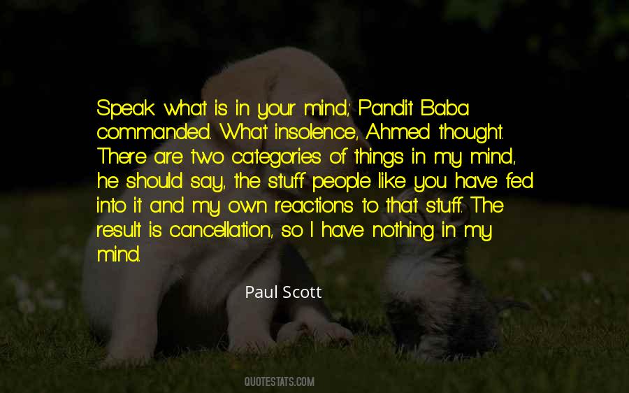 Things In My Mind Quotes #845208
