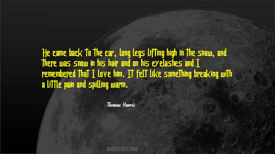 Quotes About Breaking Up And Getting Back Together #889084