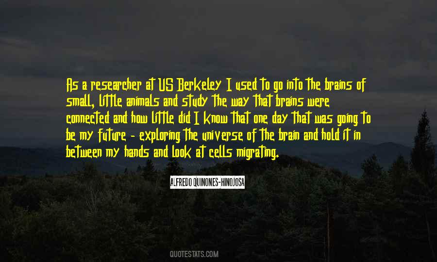 Quotes About Exploring The Universe #382973