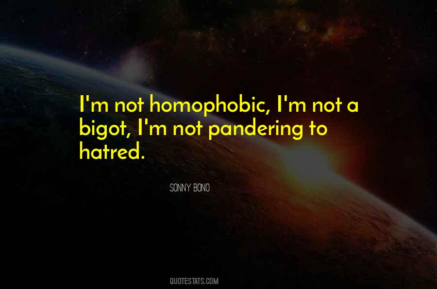 Quotes About Pandering #271723