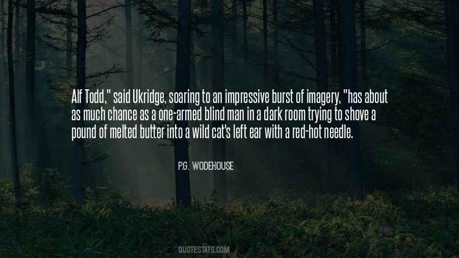 Quotes About Imagery #1128473