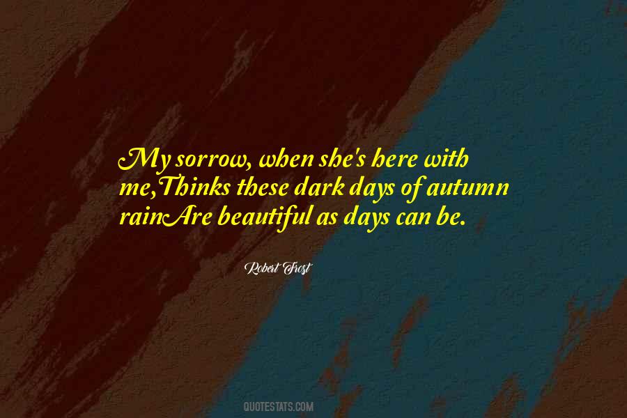 Quotes About Dark Days #1659265