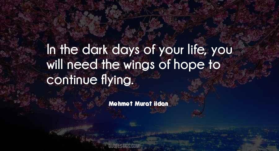 Quotes About Dark Days #1821640