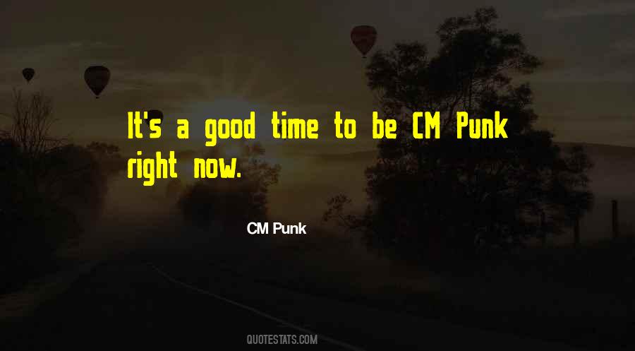 Wwe Cm Punk Quotes #575580