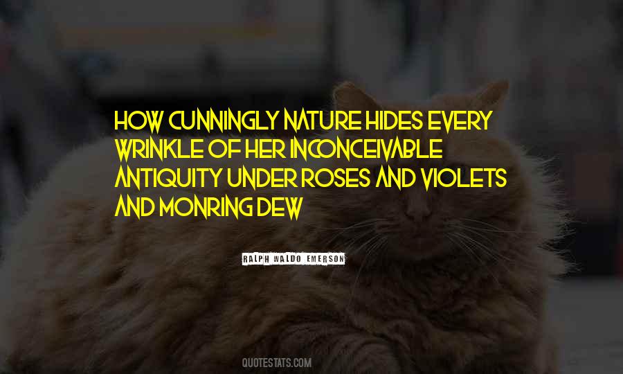 Quotes About Violets #620