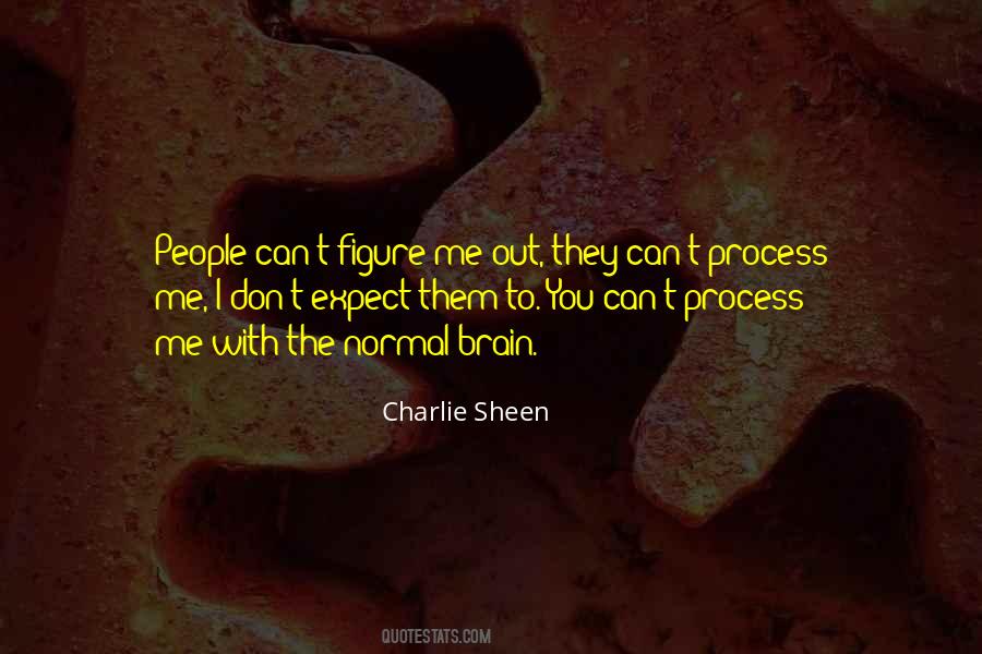 Process Of Winning Quotes #1653555