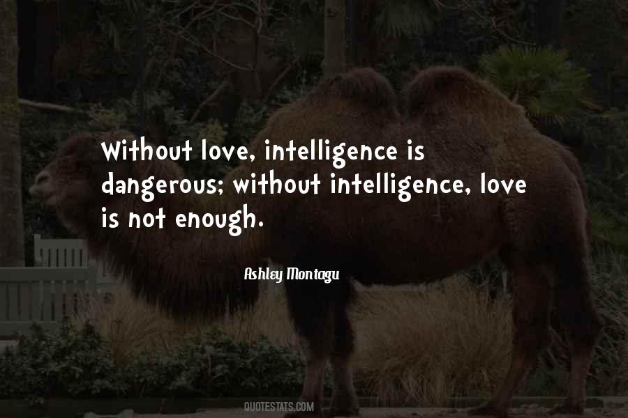 Quotes About Dangerous Love #462703