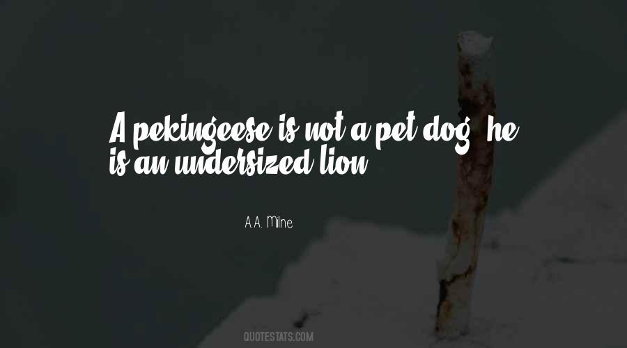 Quotes About Pet Dog #1625813