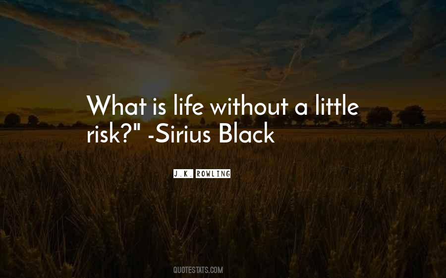 Life Without Risk Quotes #1214795