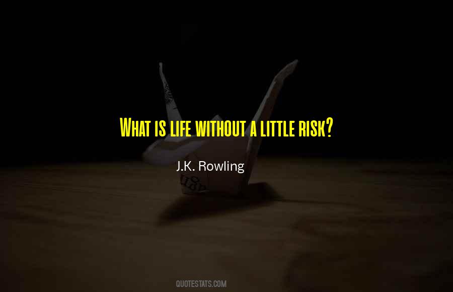 Life Without Risk Quotes #1243360