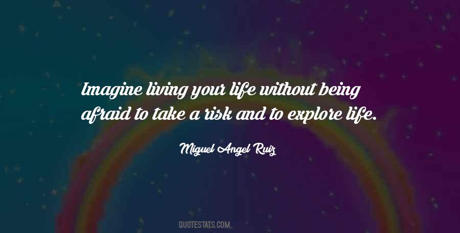 Life Without Risk Quotes #1426165