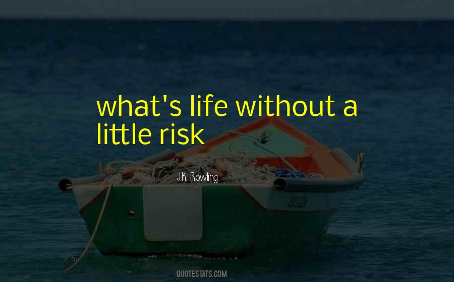 Life Without Risk Quotes #1503690