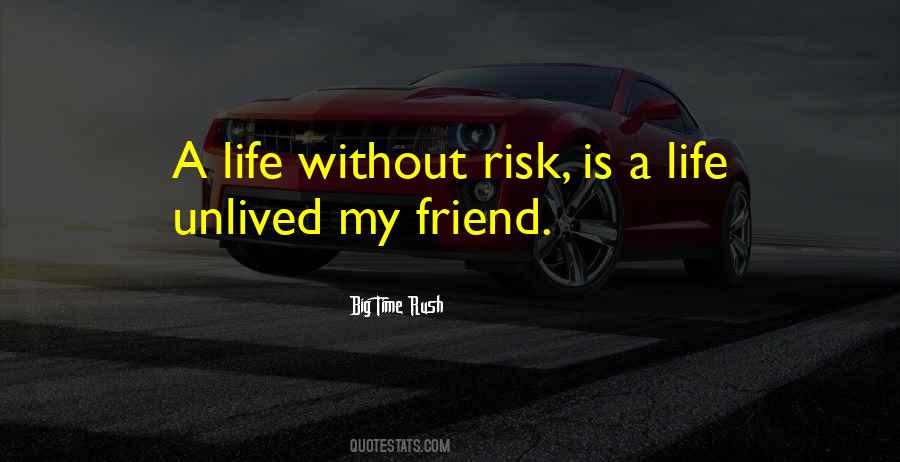 Life Without Risk Quotes #1614750