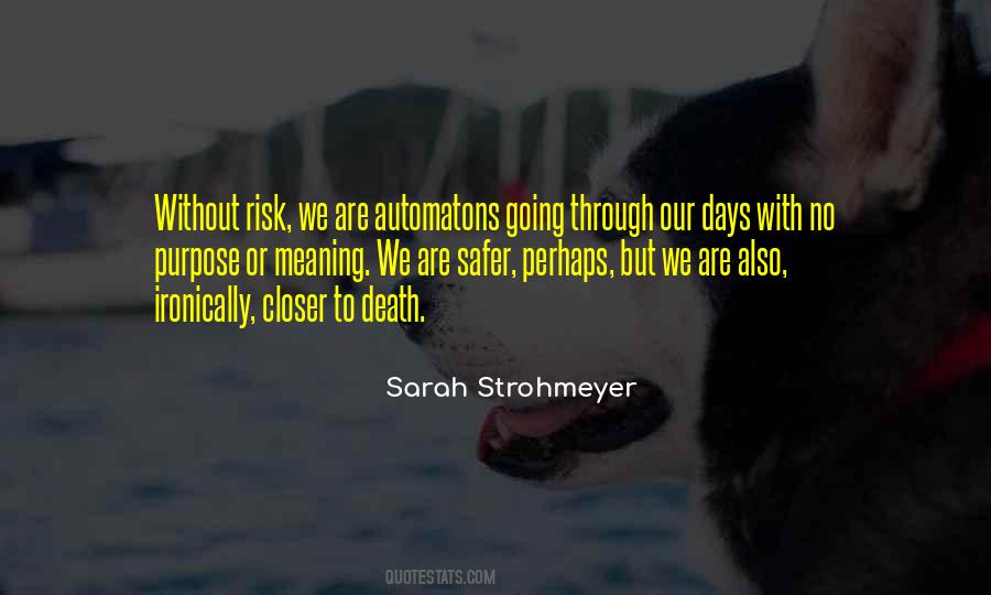 Life Without Risk Quotes #513092