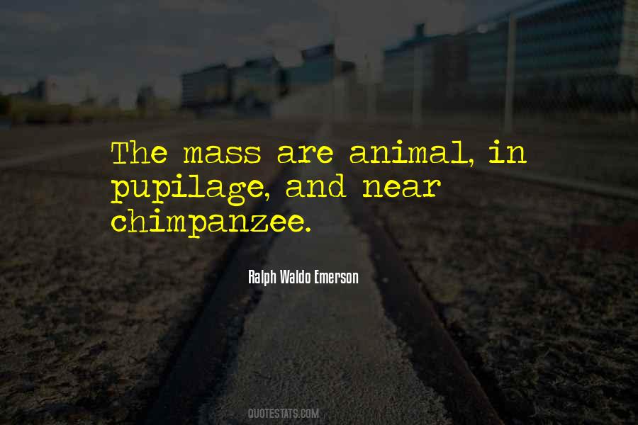 Quotes About Chimpanzees #1420781