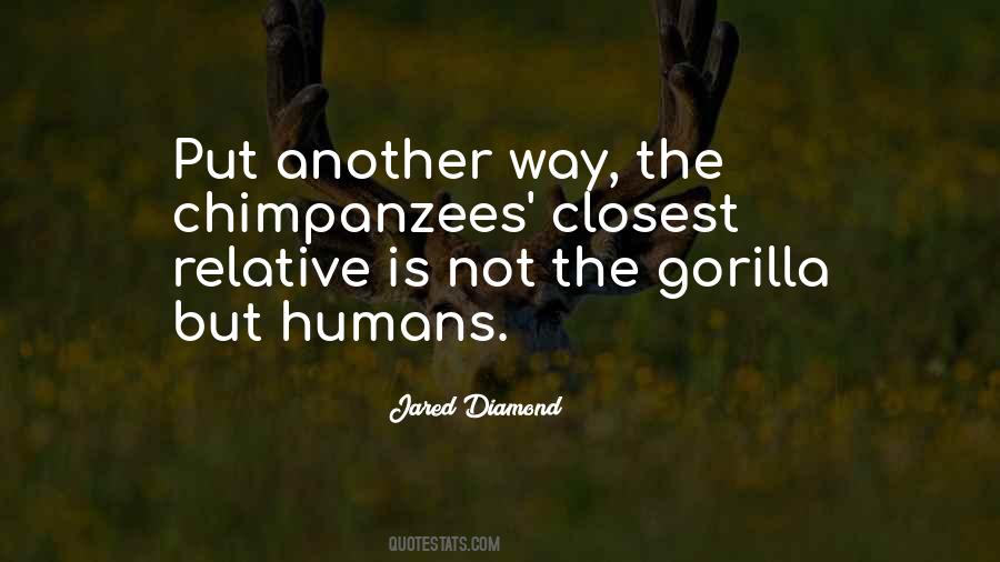 Quotes About Chimpanzees #544820