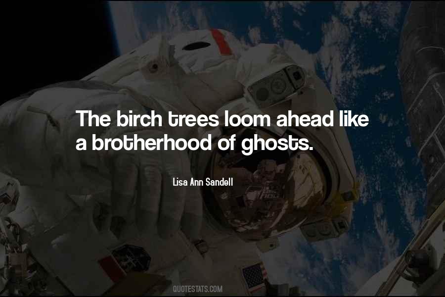 Quotes About Birch Trees #941914
