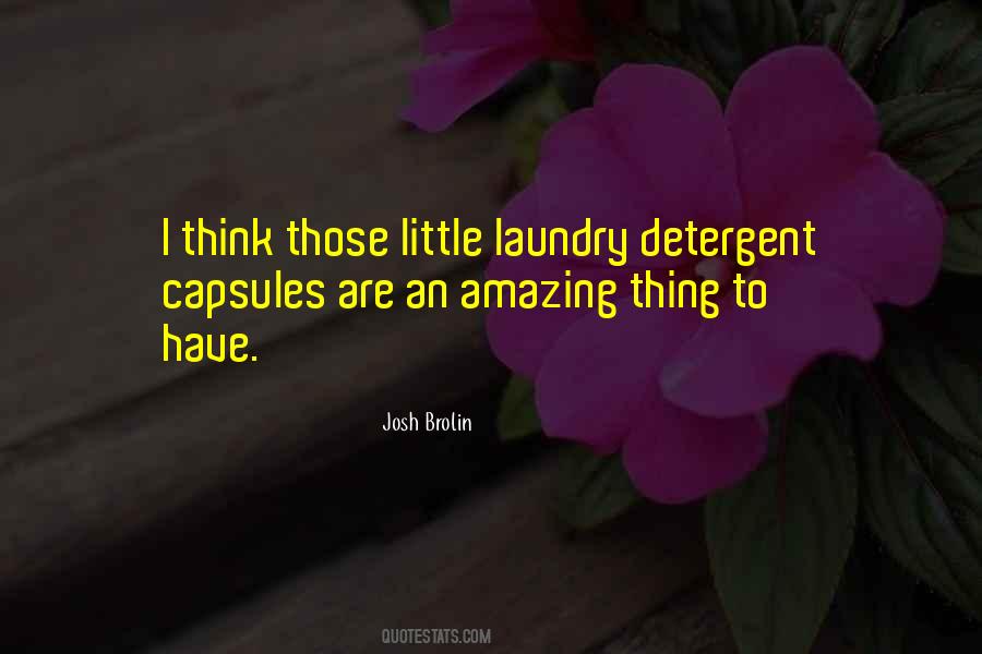 Quotes About Laundry #1118409