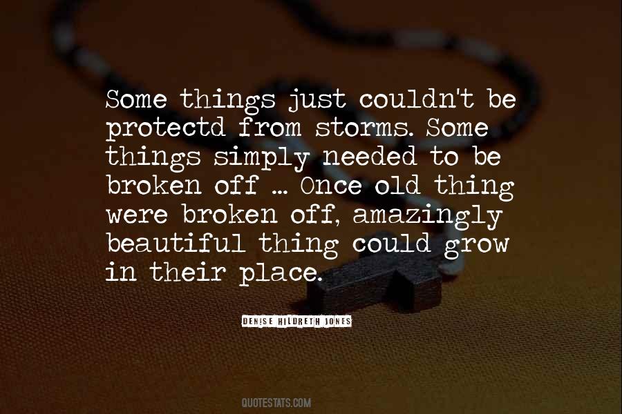 Spiritual Storms Quotes #877882