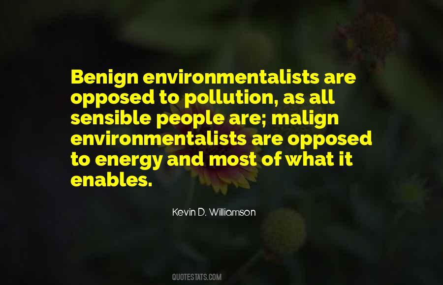Quotes About Environmentalists #1728913
