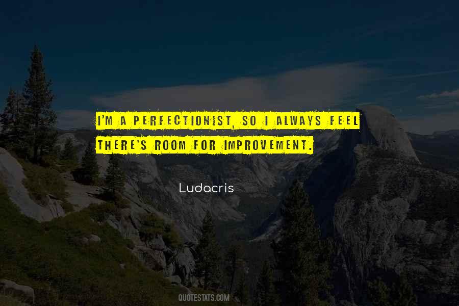 Quotes About Perfectionist #110222