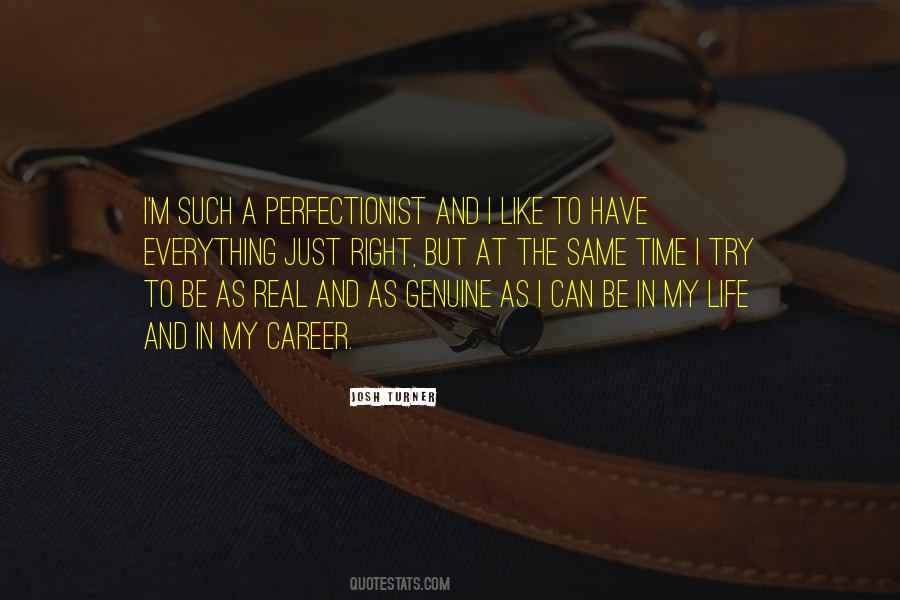 Quotes About Perfectionist #112214