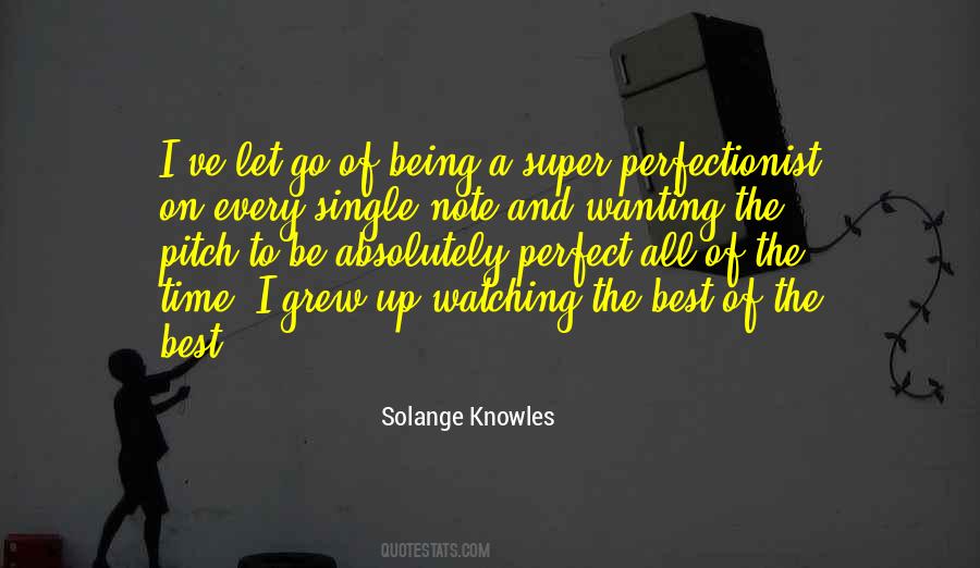 Quotes About Perfectionist #301406