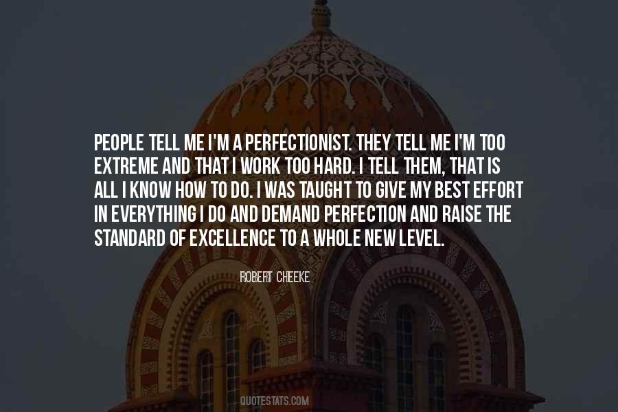 Quotes About Perfectionist #588777