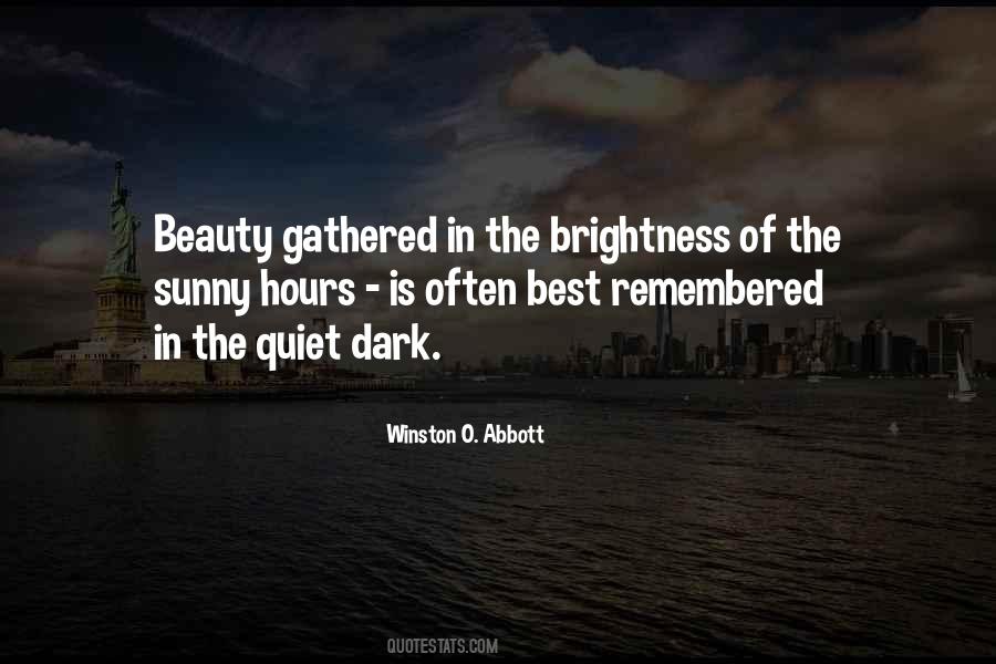 Quotes About Beauty In The Dark #1406220