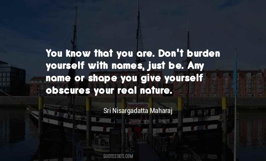 Shape You Quotes #1809006