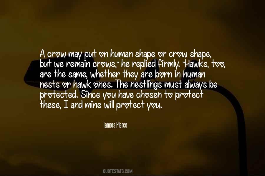 Shape You Quotes #37822